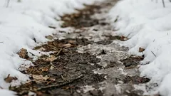 Laitoin tämän talvella lumen alle – ja keväällä puutarhamultani on täydellistä