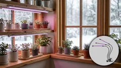 Kasvivalo kotiin: näin valitset oikean lampun taimille ja huonekasveille