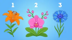 Persoonallisuustyyppitesti: millainen olet ihmissuhteissa