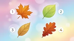 Persoonallisuustyyppitesti: selvitä tarkkaavaisuutesi taso